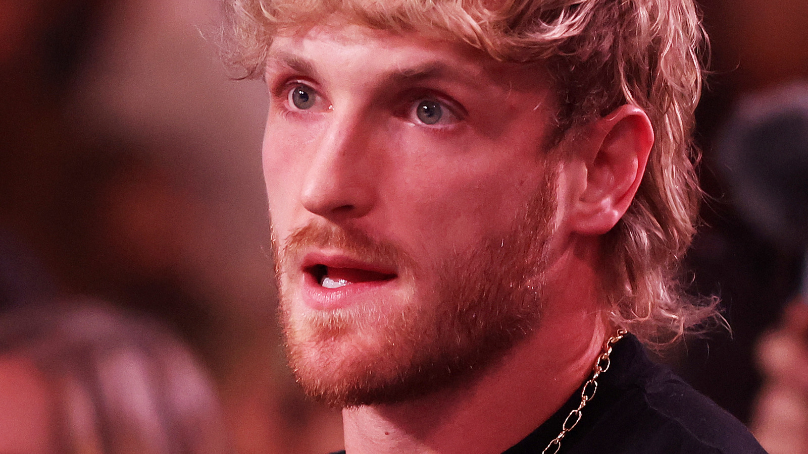 Logan Paul Is Looking To Go Bigger For WrestleMania Match With Seth