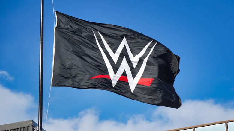 WWE flag waving