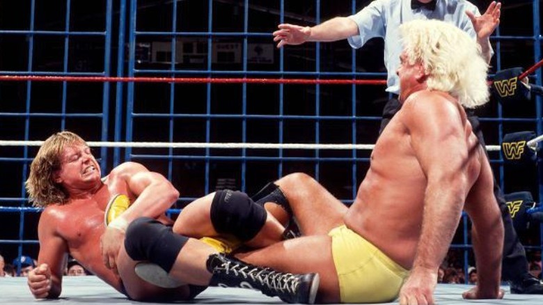 Roddy Piper Ric Flair steel cage