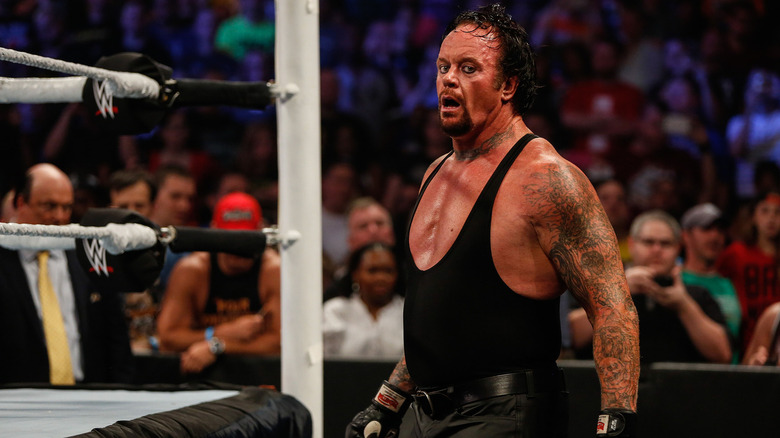 The Undertaker wrestling at SummerSlam