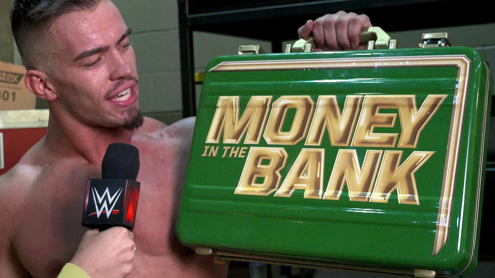15 Money In The Bank Matches WWE Fans Will Never
