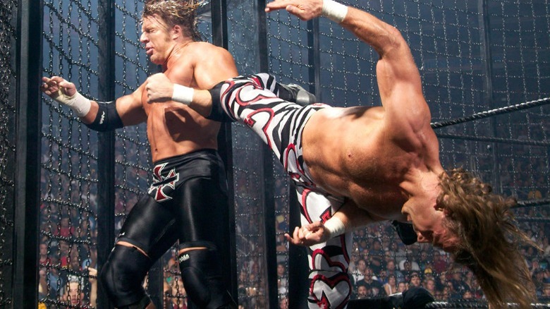 Shawn Michaels kicking Triple H