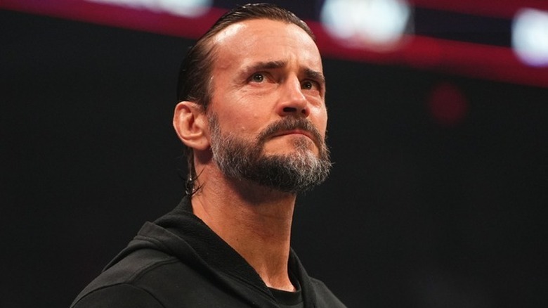 CM Punk in the ring