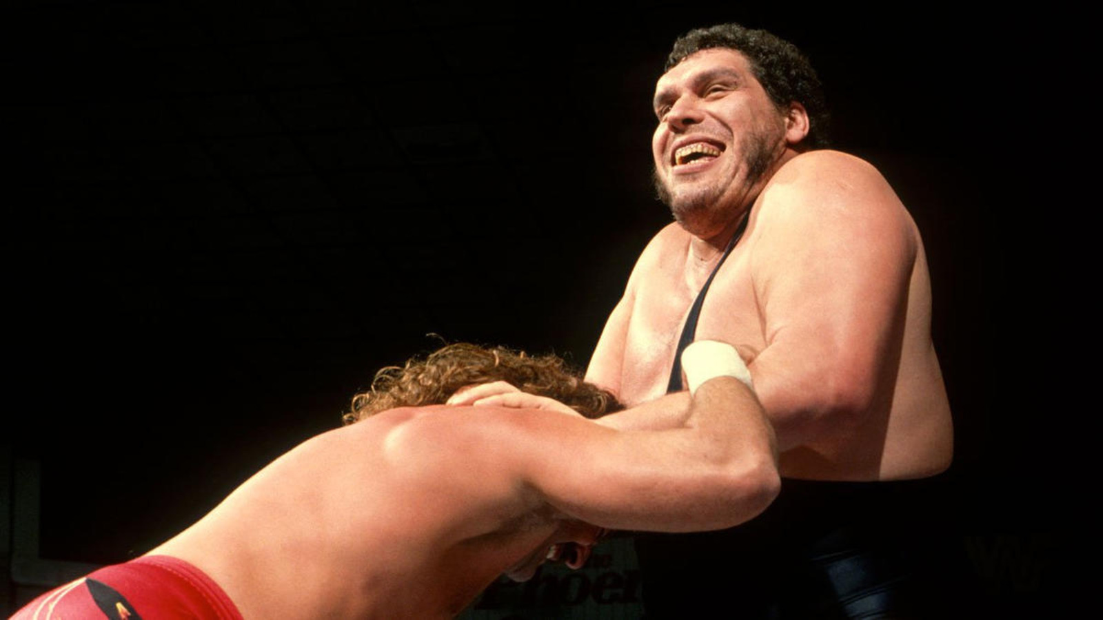 WrestleMania 39: Inside the mad world of WWE - Andre The Giant drank 108  beers in 45 MINUTES, Goldust's 'BOOB JOB' and POO in The Rock's lunch