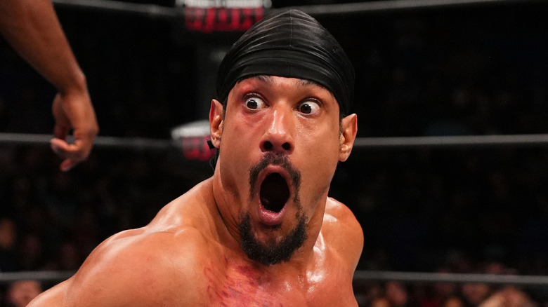 AR Fox