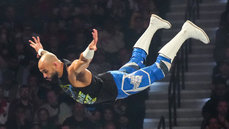 Ricochet performing a dive