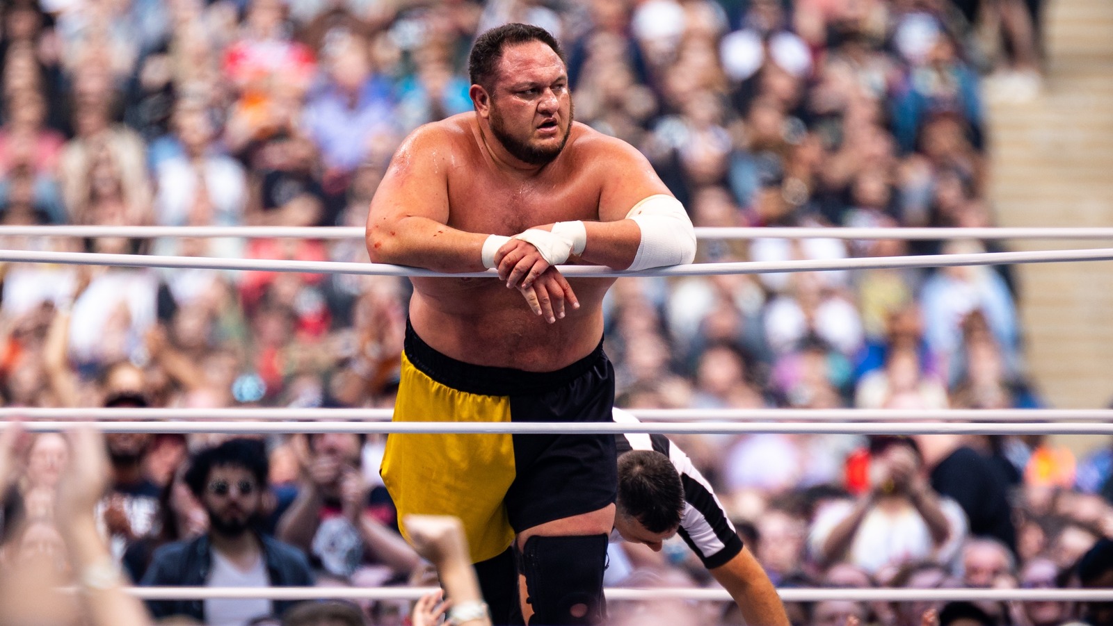 Pro Wrestling Tees on X: FINAL HOURS: SAMOA JOE (ROH Edition