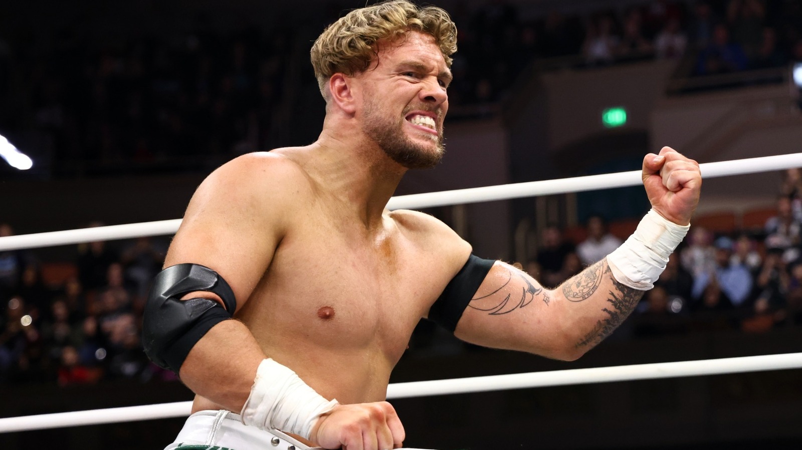 AEW's Will Ospreay Confirms Triple H's Comments On 'The Grind' In WWE Were About Him