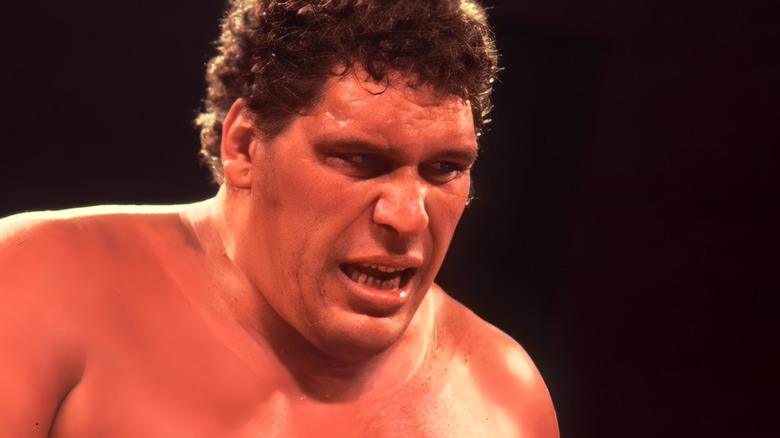 Andre the Giant glares