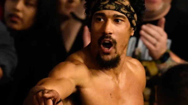 AR Fox pointing