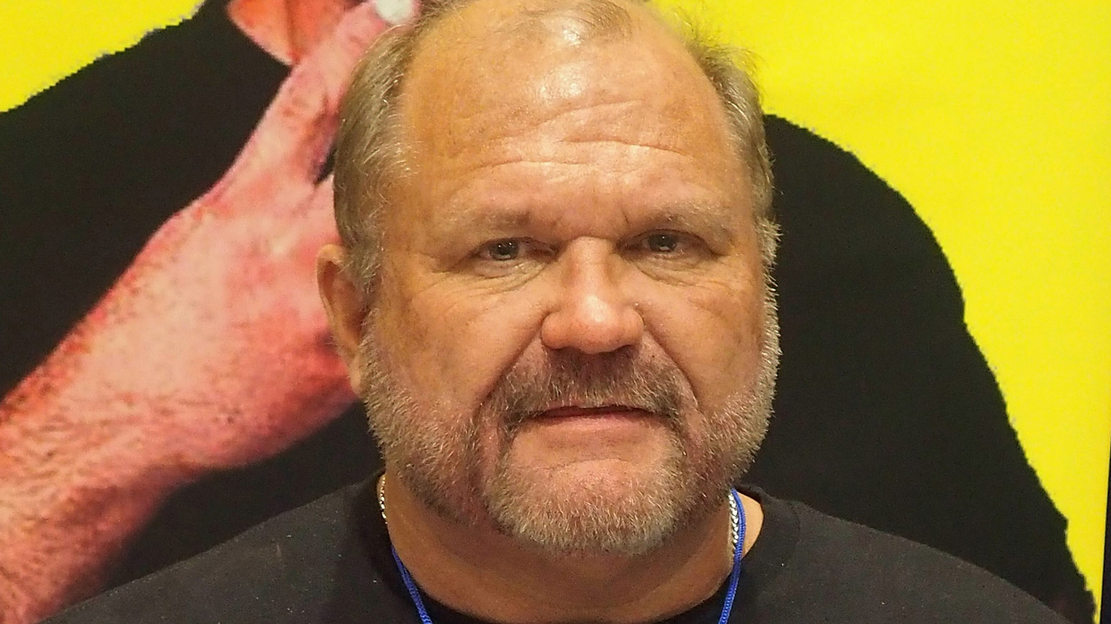 Arn Anderson: AEW Is Going Through A 'Growth Spurt'