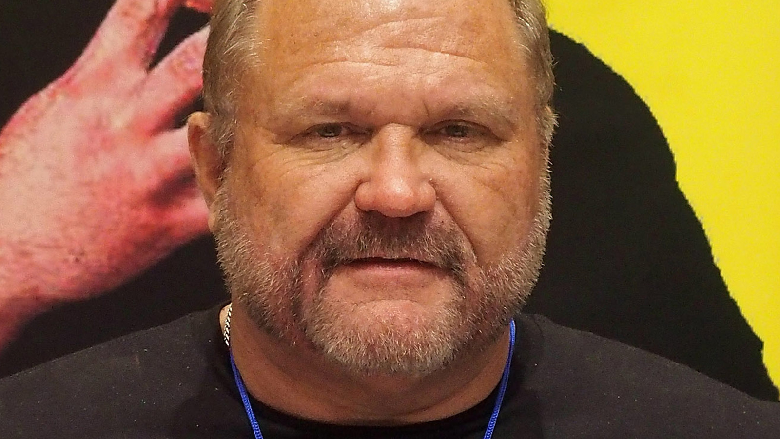 arn-anderson-explains-why-there-are-too-many-championships