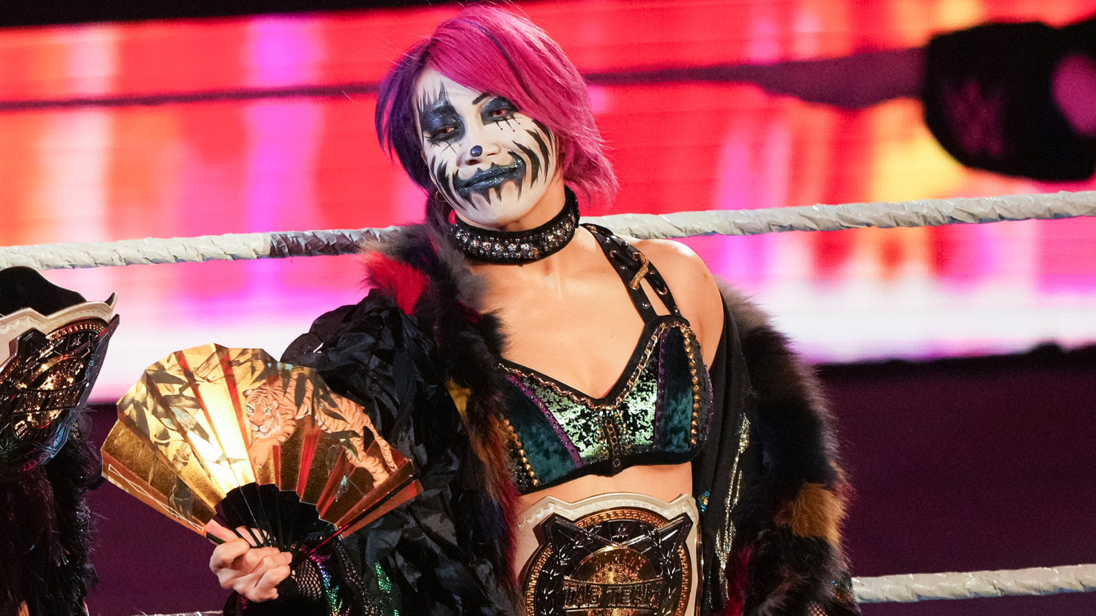 Asuka Gives Update On Recent Fan Scare: 'WWE And TKO Are Taking Action To Protect Me'