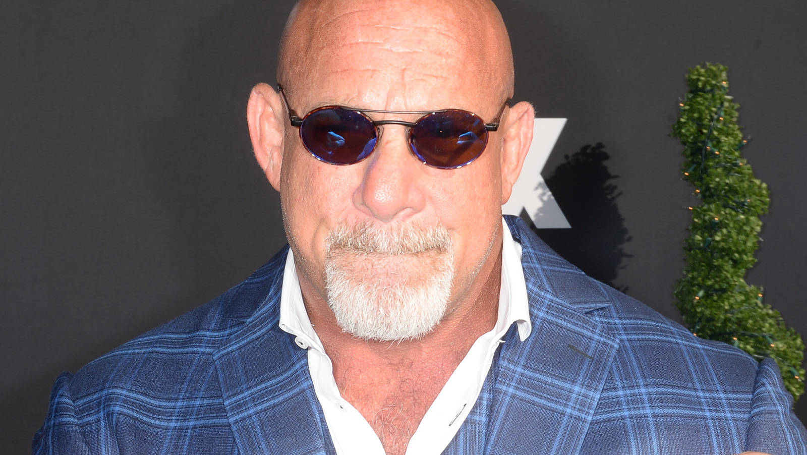 Backstage News On Goldberg's WWE Contract Amidst Retirement Match Talk