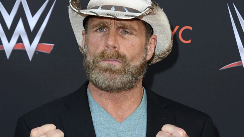 Shawn Michaels puts his fists up in front of a WWE/Emmy 