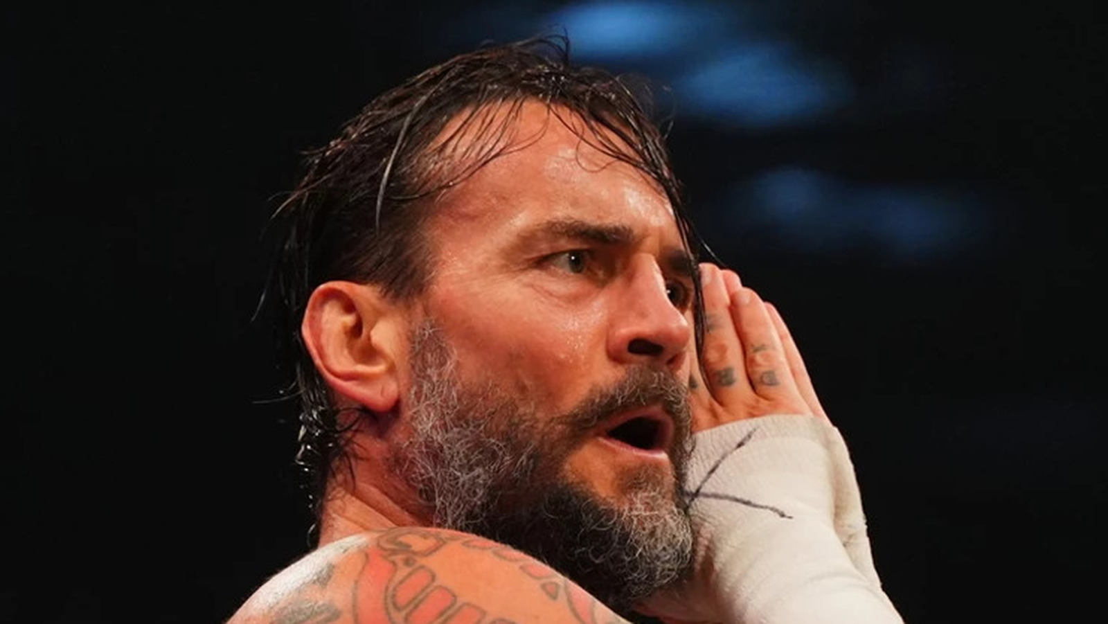 Backstage Update On Issues Between CM Punk And Adam Page In AEW