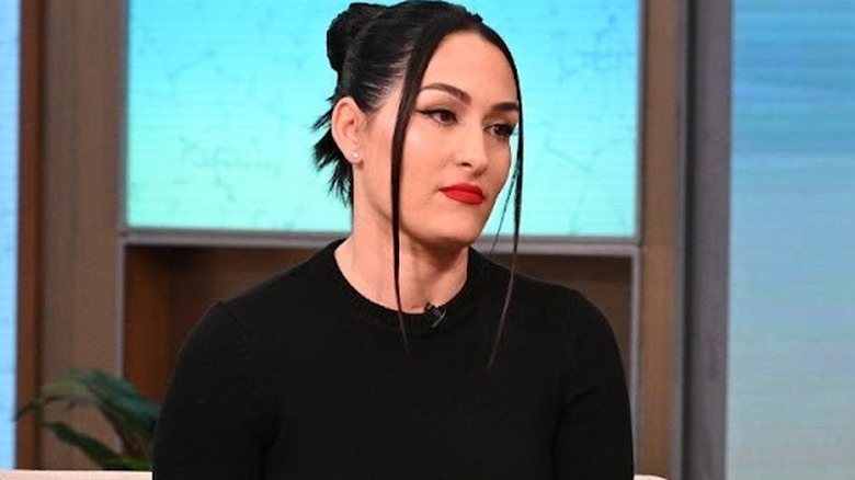 Nikke Bella Xxx Porn Tv - Bella Twins Expand On Criticism Of Raw XXX In TV Appearance