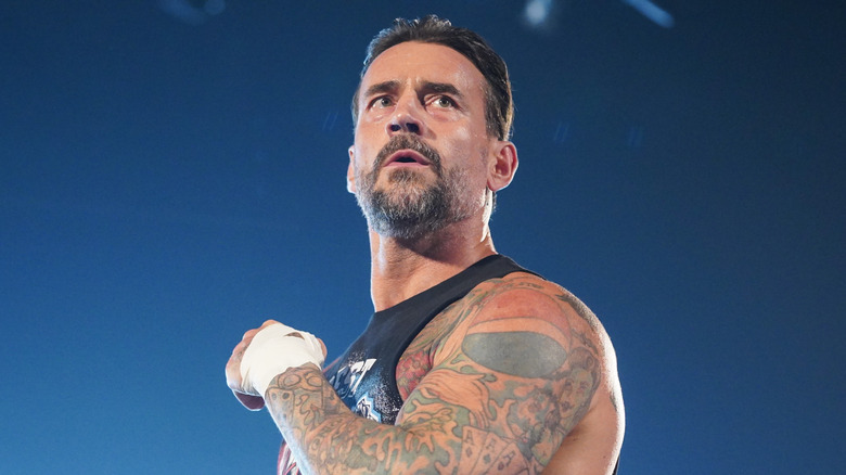 CM Punk in WWE