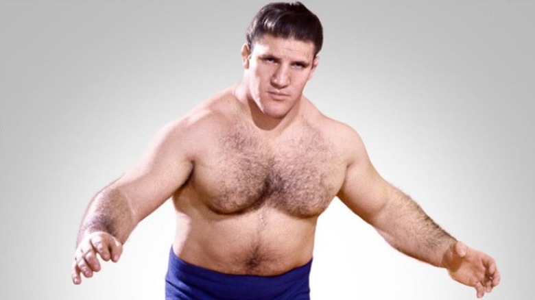 Bruno Sammartino posing