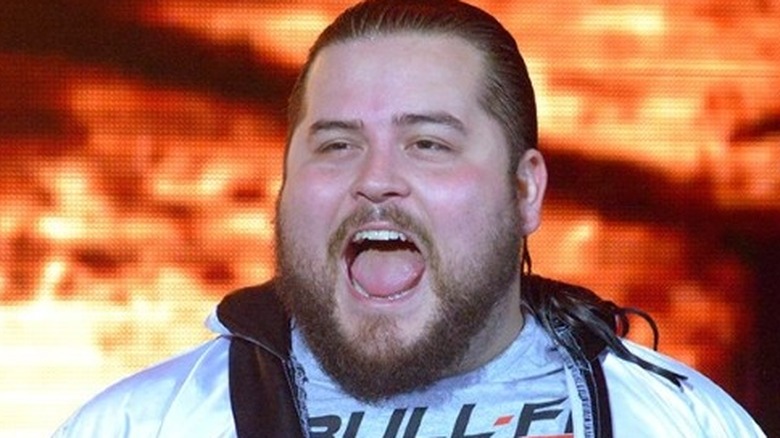 Bull James on NXT