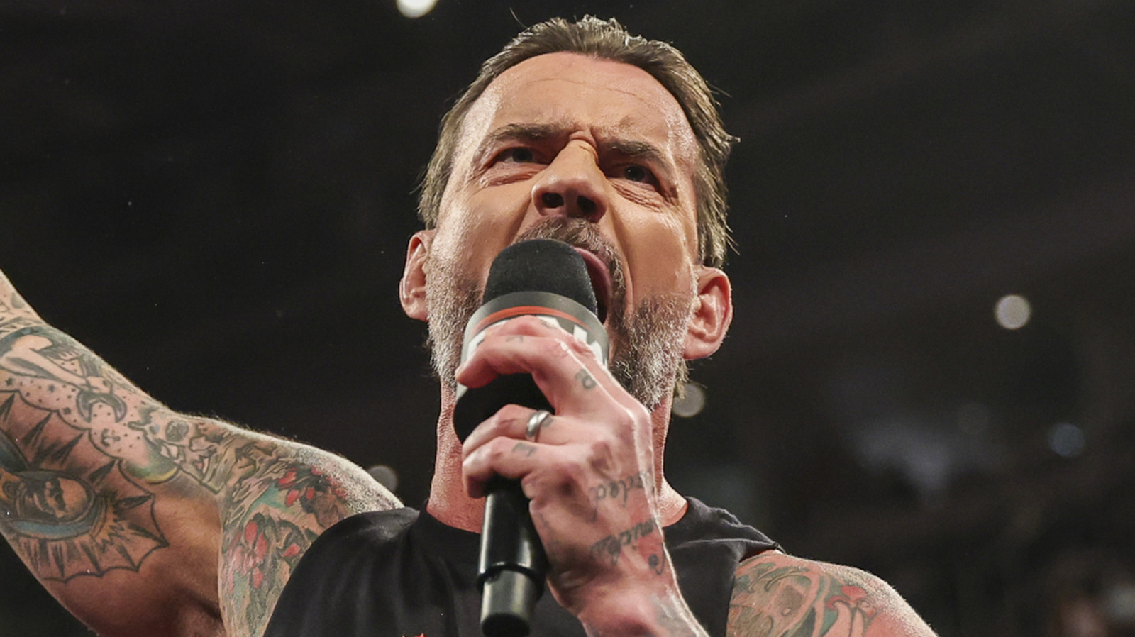 Bully Ray Analyzes CM Punk's Reference To Hulk Hogan On WWE Raw