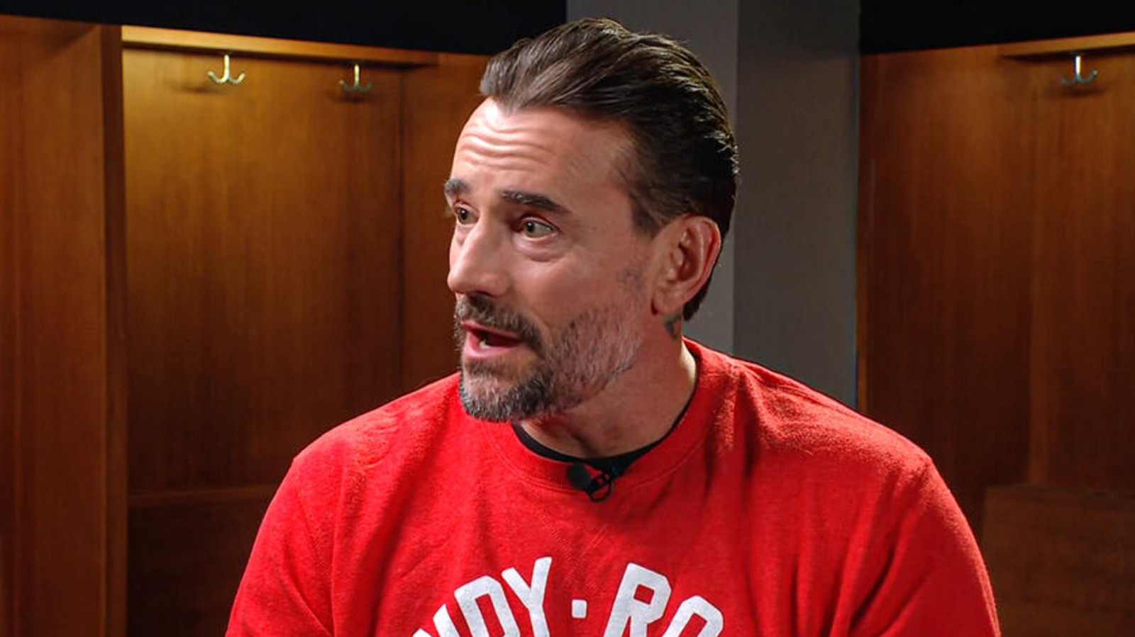 Bully Ray Breaks Down The Appeal Of WWE Star CM Punk