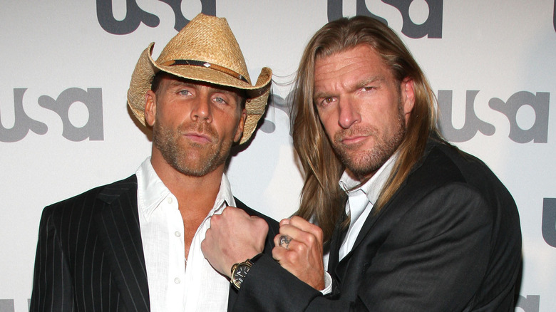 Shawn Michaels and Triple H