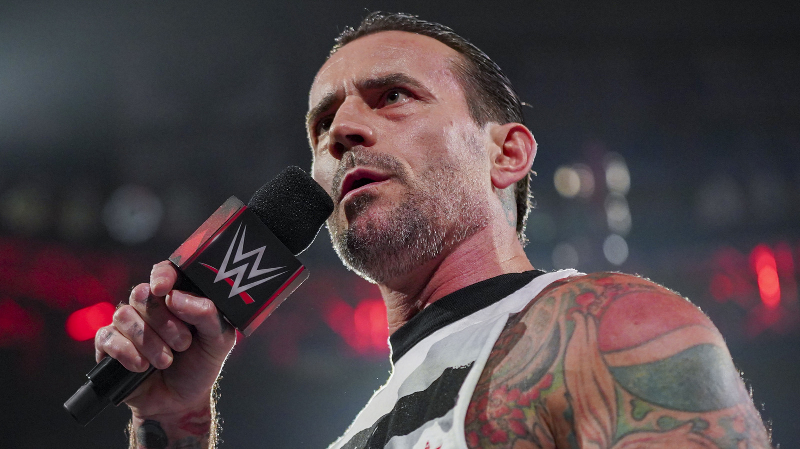 Bully Ray Explains How He Would Utilize CM Punk In WWE