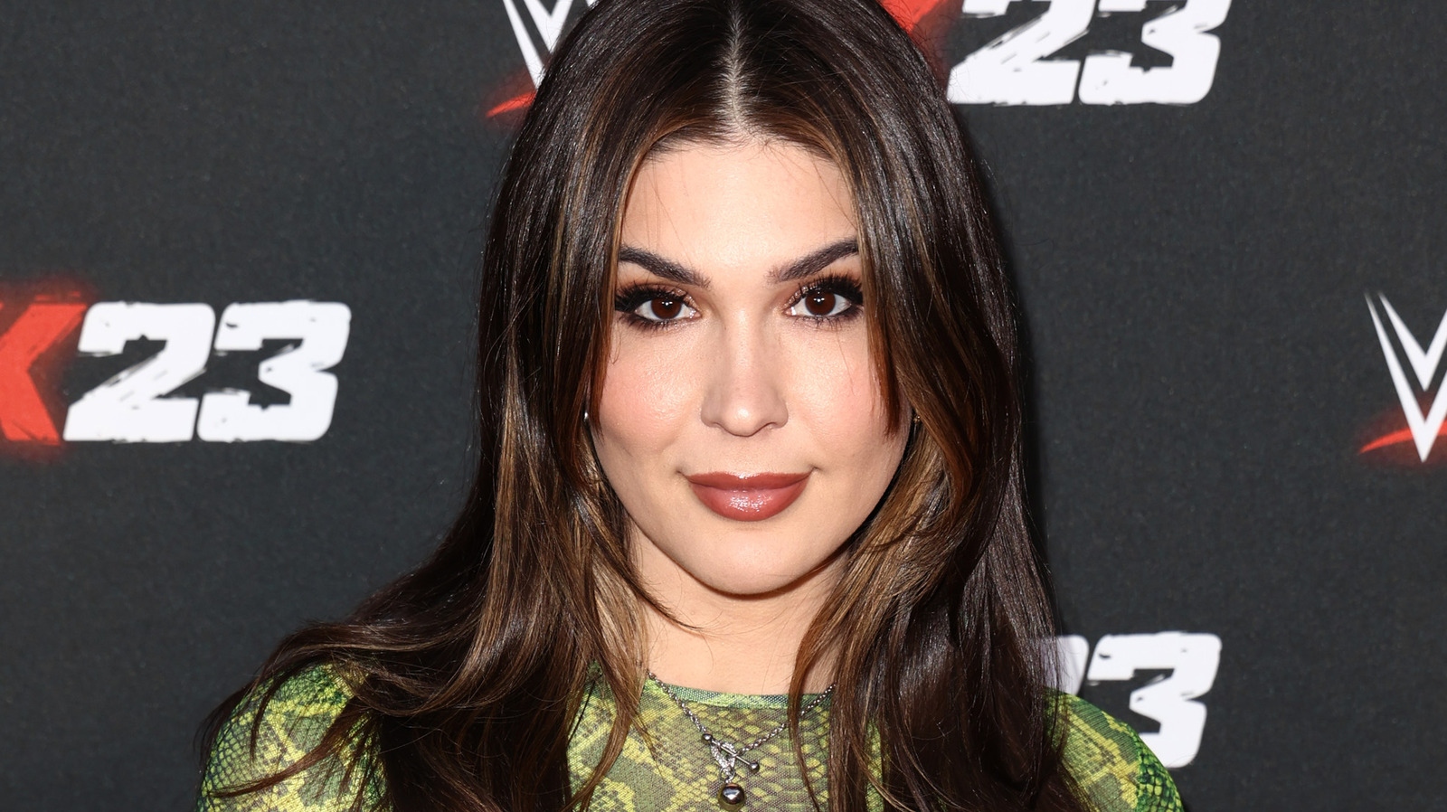 Cathy Kelley Reveals Potential Wwe Gigs She Discussed With Stephanie Mcmahon 6157