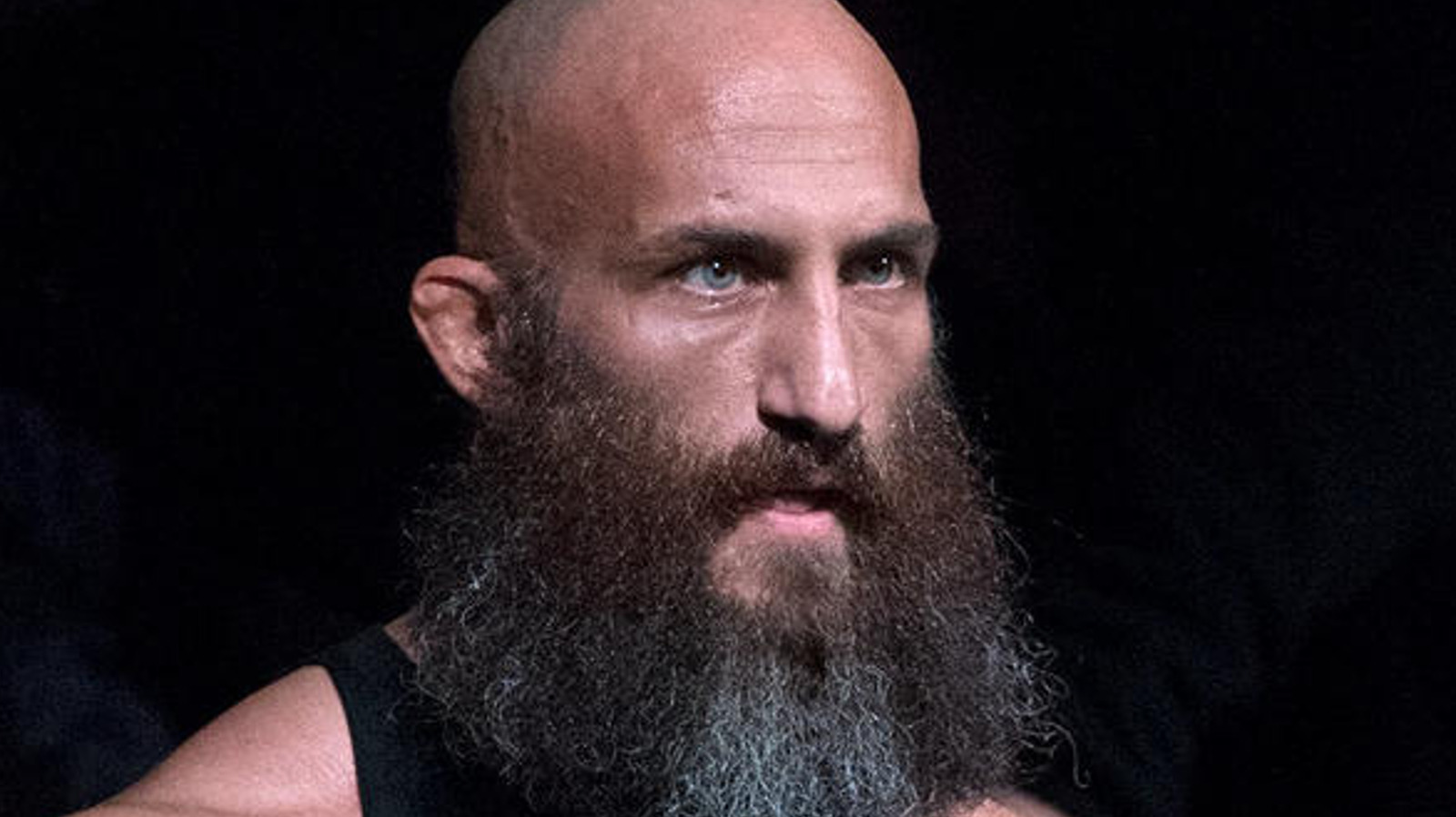 Ciampa Addresses Possible Diy Reunion With Triple H Leading Wwe Creative