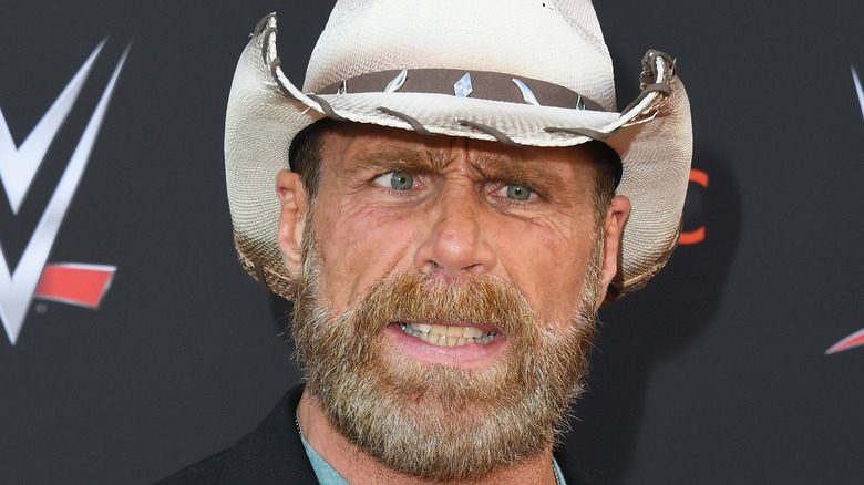 Shawn Michaels grimaces