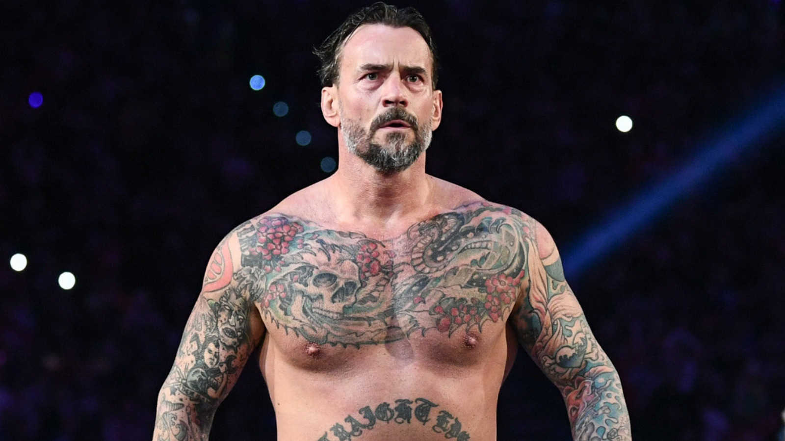 CM Punk Gets Candid About WWE Creative Differences Between Triple H And Vince McMahon