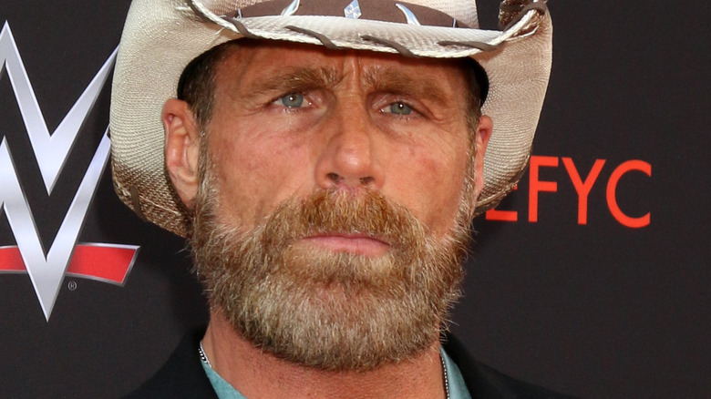 Shawn Michaels 