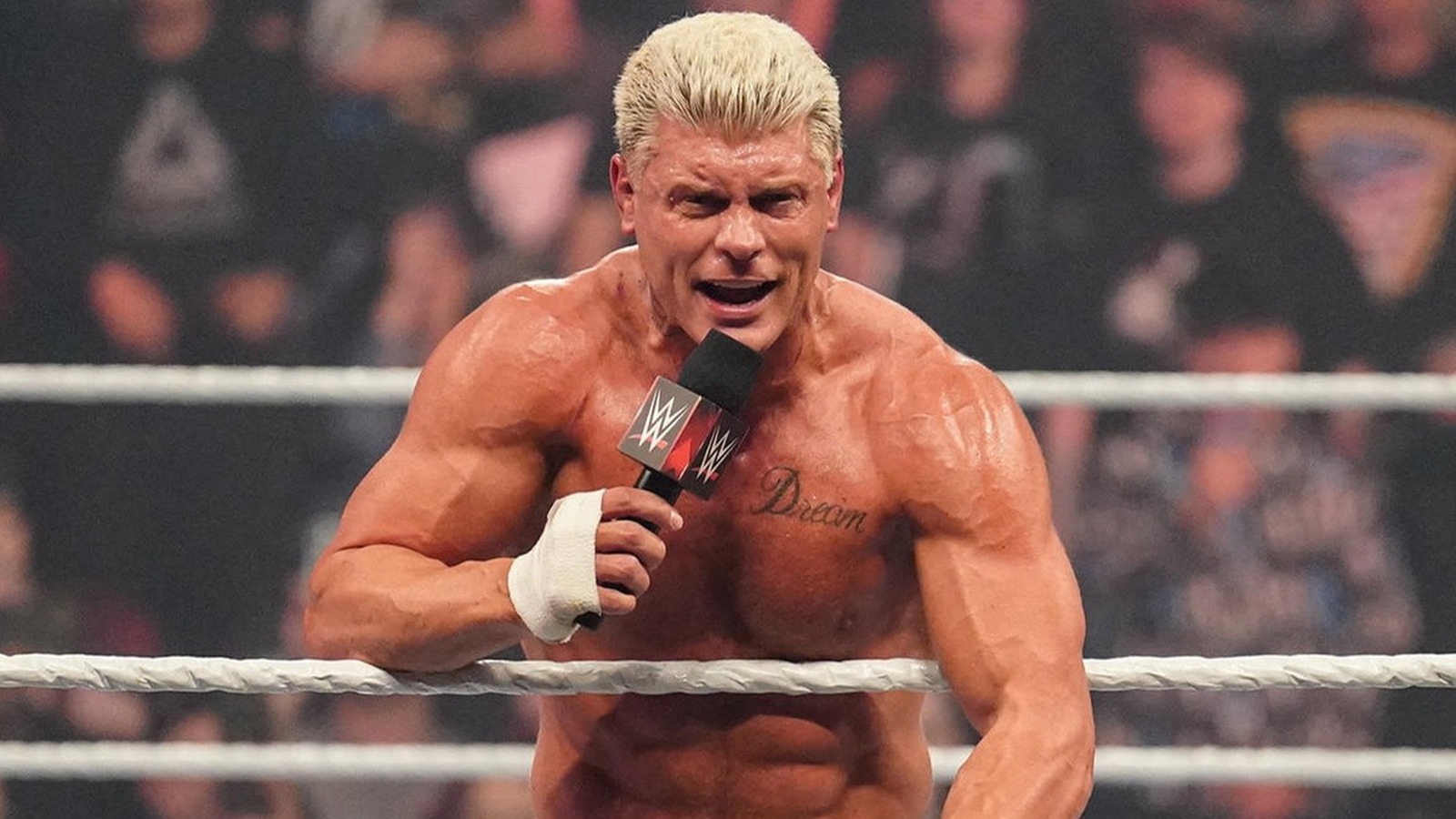 Cody Rhodes Wishes He Had This AEW Star By His Side In WWE