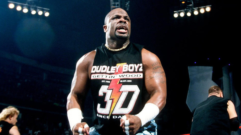 D-Von Dudley performing in WWE