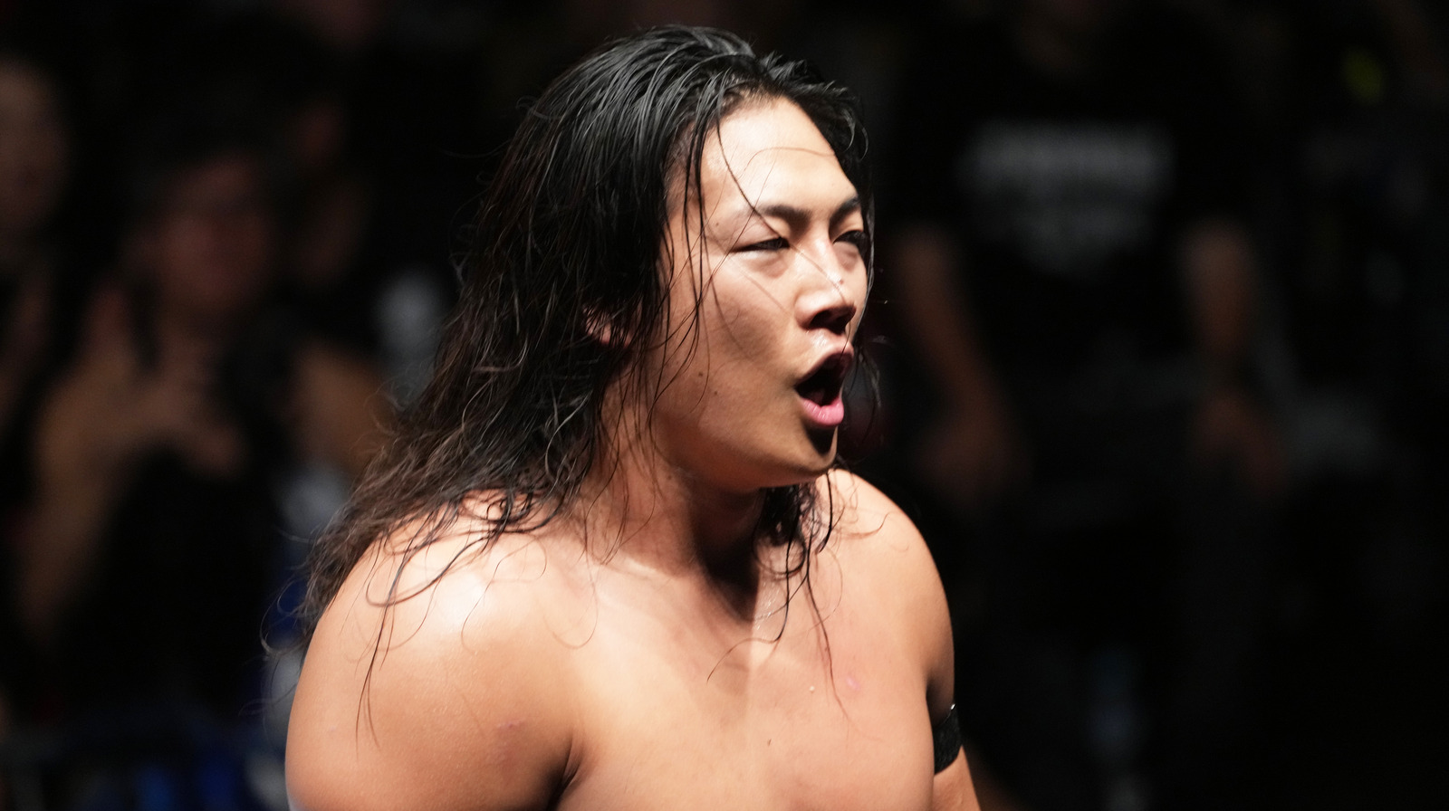 Dave Meltzer Assesses AEW Star's Prospects With NJPW