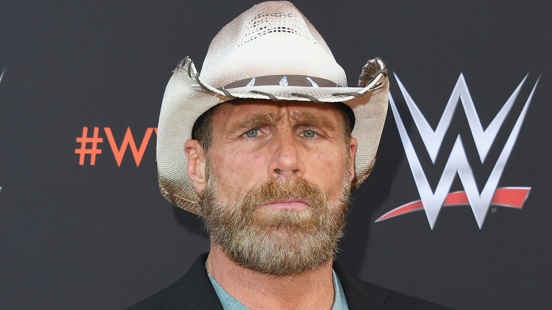 Shawn Michaels throws up the dukes