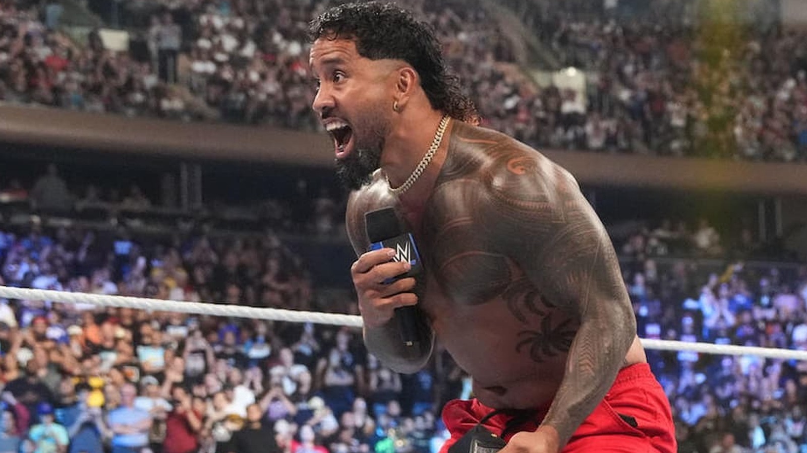 Dave Meltzer Doesn't See Jey Uso As A Strong Contender To Dethrone ...