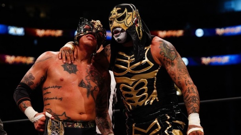 The Lucha Brothers