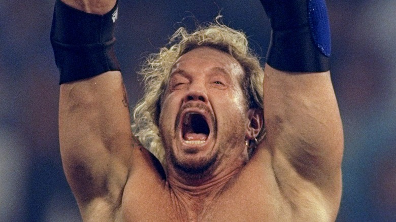 Diamond Dallas Page raises arms