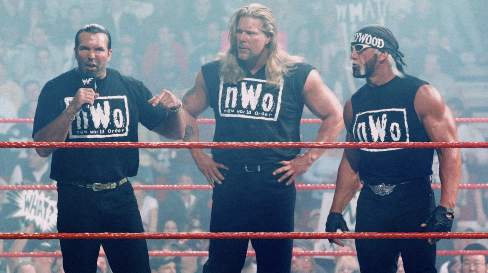 where are they now wcw nwo