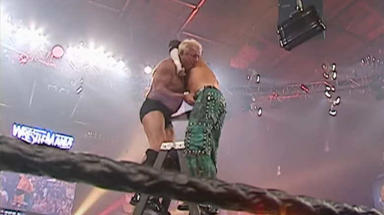 Matt Hardy grabs Ric Flair at top of ladder