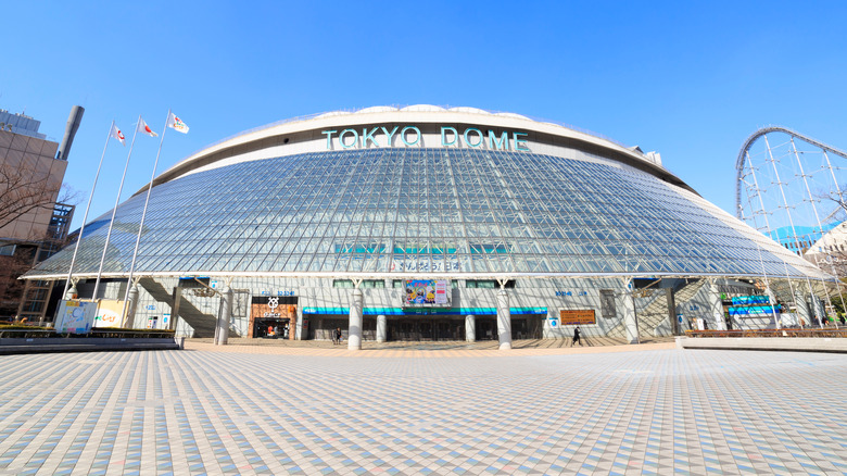 The Toyko Dome