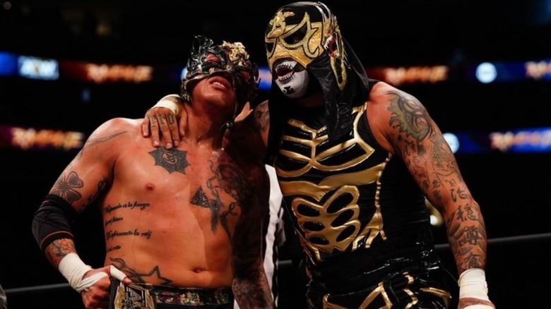 The Lucha Brothers