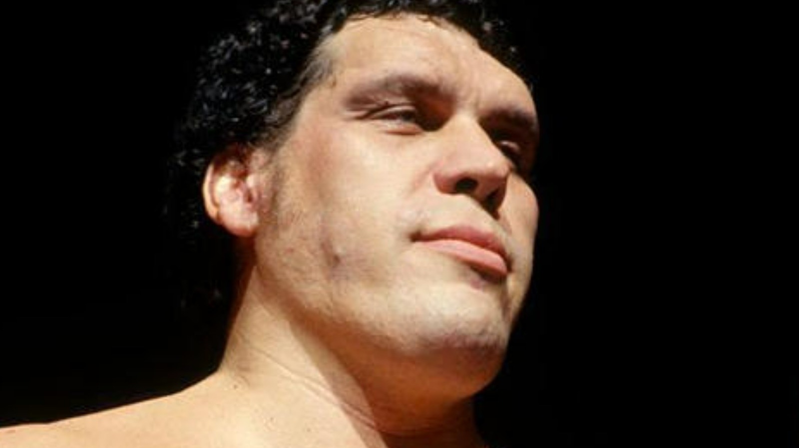 Former WWE Referee Says Andre The Giant's Locker Room Was