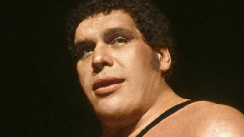 Andre the Giant