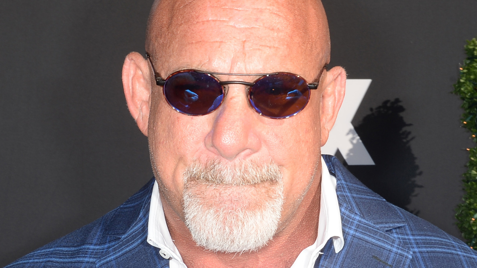 Bill Goldberg Panthers icon? When WWE legend made a strange bit of history  during brief NFL career