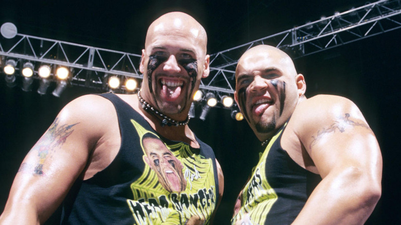 The Headbangers in WWE