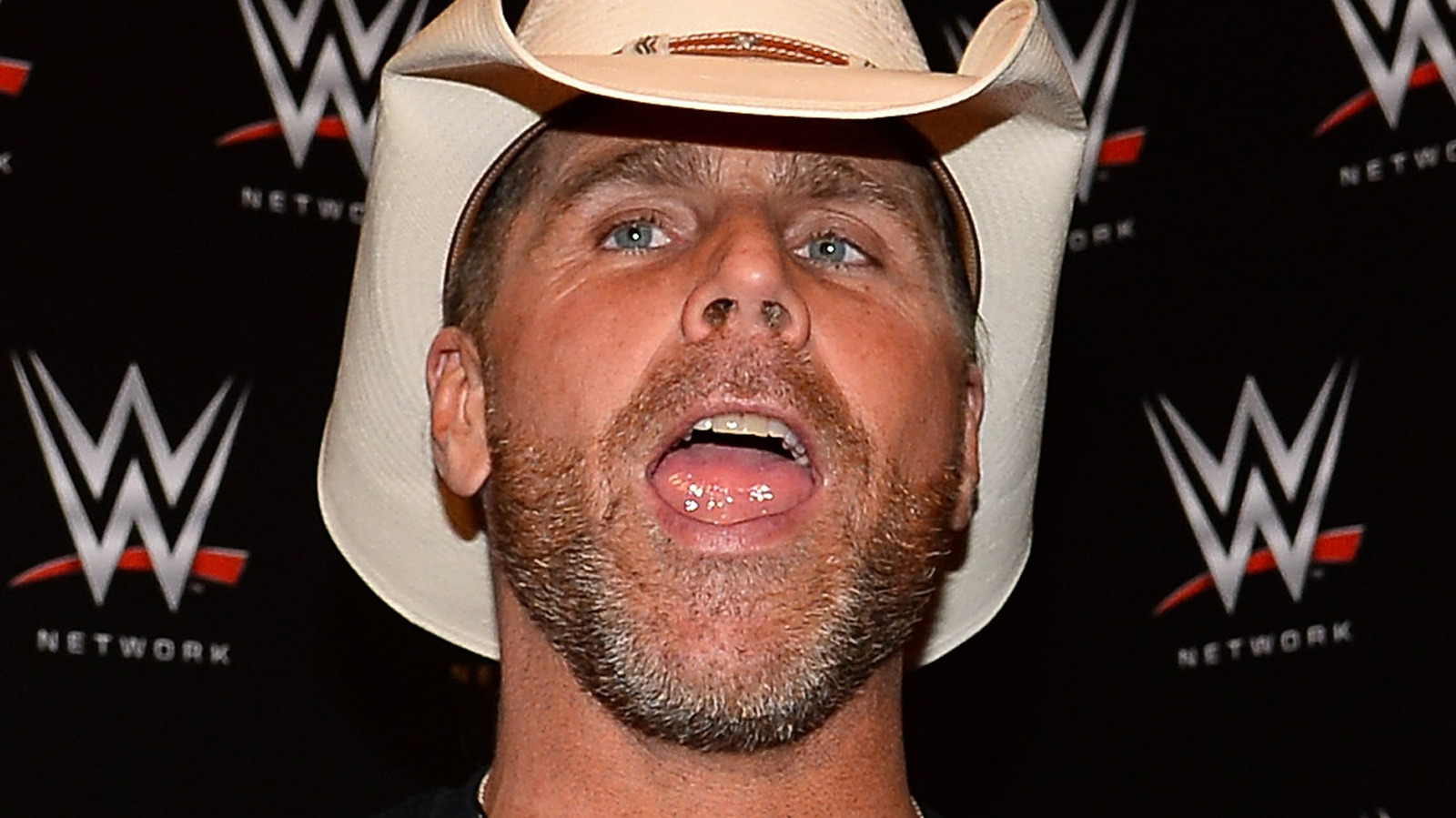 Heated Shawn Michaels Makes Cameo Appearance On WWE NXT