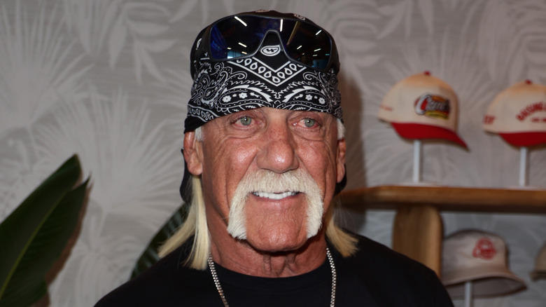 Hulk Hogan Assesses WWE Star Logan Paul’s Potential As A Babyface